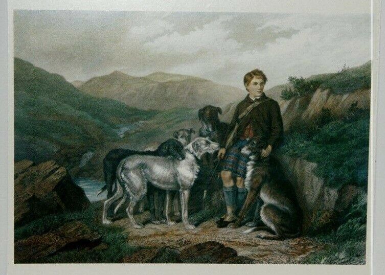 Scottish Deerhound Print, Gillie And The Hounds